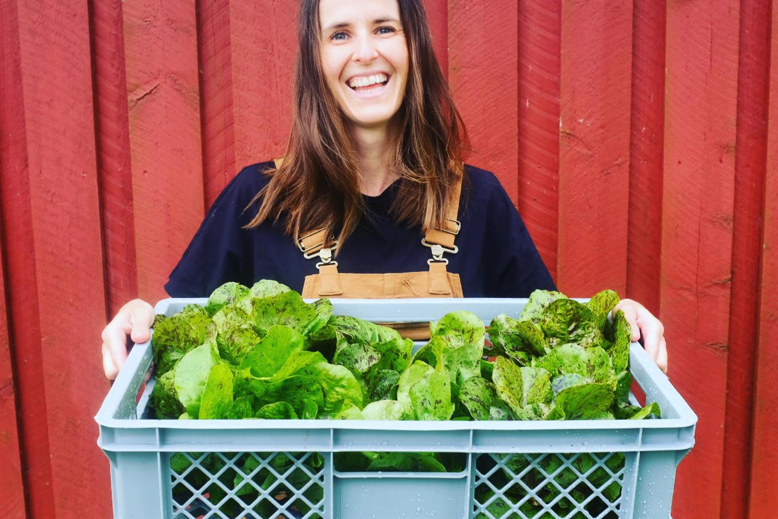 Haugerud Gård, image size:3000x2000